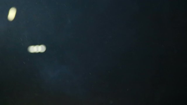 flying night moths, movement abstraction
