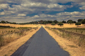Fototapeta na wymiar Una carretera desierta, en medio de un campo amarillo, en Portugal