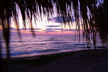 Sunrise on the sea view from beach with bamboo leaves © bymandesigns