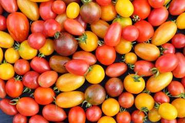 Tomatoes.