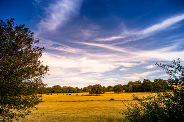 landscape countryside in souvigny, allier, France