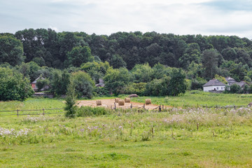Fototapeta na wymiar Straw bales in the field