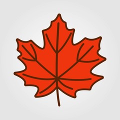 Maple autumn leaf isolated on a white background. Vector illustration