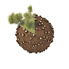 A sphere in the form of a small planet with large trees and small trees, stumps - a clock. Every hour it is deforestation and an environmental problem. 3D rendering, 3D image