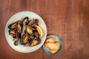Fototapeta na wymiar Marinara mussels, moules mariniere, overhead shot on a dark rustic wooden background with toasted bread and copy space
