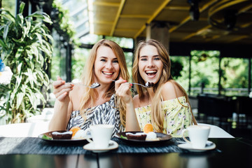 Two young, blonde sisters have a breakfast in modern cafe, spend time together.