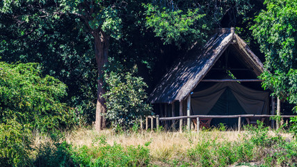 South Luangwa Nationalpark