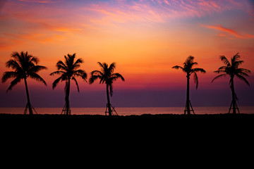 Silhouette coconut palm trees on beach at sunset.sky twilight