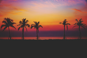 Naklejka na ściany i meble Silhouette coconut palm trees on beach at sunset.sky twilight