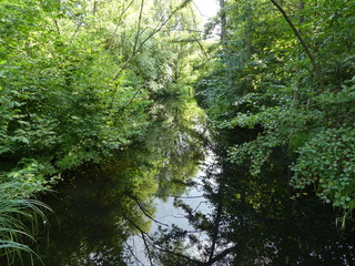 Es handelt sich um Fotos die im Sommer in der Natur in Berlin gemacht wurden.