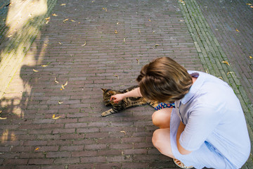 View from above of woman playing with street cat on Haarlem Dutch cobblestone street