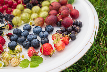 different kinds on berries on white plate