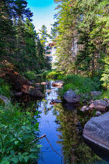 Fototapeta na wymiar Creek landscape with trees and rocks on Mizzy Lake Trail