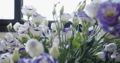 White and purple roses as surprise delivery gift