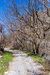 Dirt road in the mountains