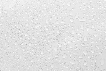 Water Drops On white Background, Texture colorful waterdrop/