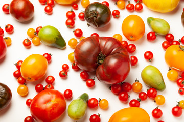 Tomatoes of different shapes in sizes and colors, homemade vegetables isolated on white background.