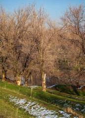 Snow on green grass in spring in the garden
