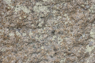 Stone covered with lichen.