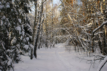 Winter landscape with ski track