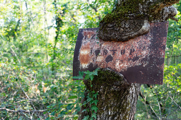 the sign on the tree
