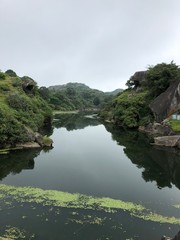 Fototapeta premium lake in deep forest