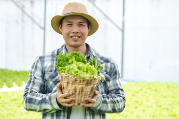 A gardener holds a basket of salad vegetable in the hydroponics farm background.
