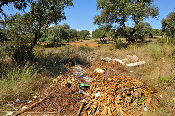 Montón de basura abandonada en el bosque. Vertedero ilegal entre árboles cerca de una ruta de senderismo en Andalucía España. Problema ambiental y ecológico.