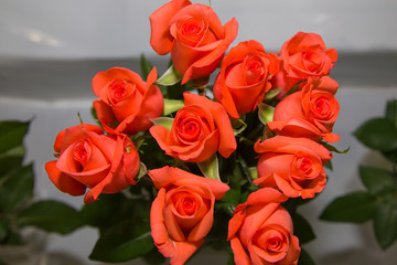 flor, flor, laranja, natureza, amarelo, ajardinar, verde, planta, verão, malmequer, flor, desabrochado, bela, flora, beldade, cor, folha, vermelho, primavera, colorido, floral, buquê, macro, margarida