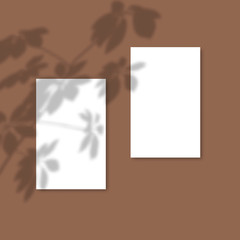Shadow Overlay Plant Vector Mockup Vertical business Card. Vector Realistic shadows overlays leaf.
