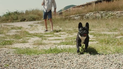 Man plays with french bulldog outside in park