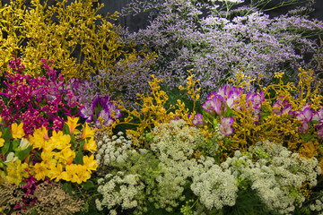 Obraz premium flor, flor, laranja, natureza, amarelo, ajardinar, verde, planta, verão, malmequer, flor, desabrochado, bela, flora, beldade, cor, folha, vermelho, primavera, colorido, floral, buquê, macro, margarida