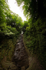 森の中の岩肌を流れる滝