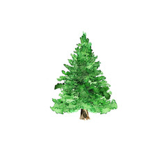 Watercolor hand drawn artistic colorful Christmas pine tree vintage isolated on white background