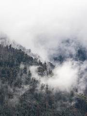 Cloud covered mountains in winter