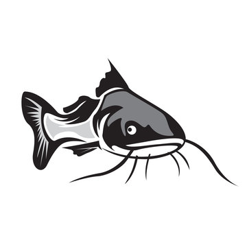 recommend clip art: elegant front view catfish logo design inspiration