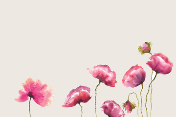 Watercolor poppy flower set on pastel background with copy space for text design