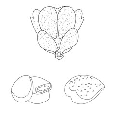 Isolated object of food and grilled icon. Collection of food and bird stock symbol for web.
