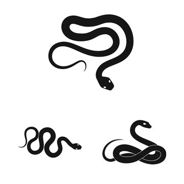 Vector illustration of nature and medicine sign. Set of nature and evil vector icon for stock.