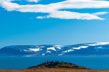 Tourists hiking on a blue sky day during a visit to Barentsoya, Svalbard, Norway