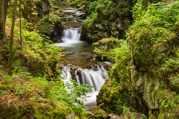 Waterfalls on the Wilczki stream, Poland