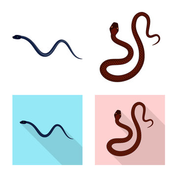Vector design of mammal and danger logo. Collection of mammal and medicine stock vector illustration.