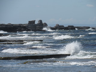 Windy Morning at Large