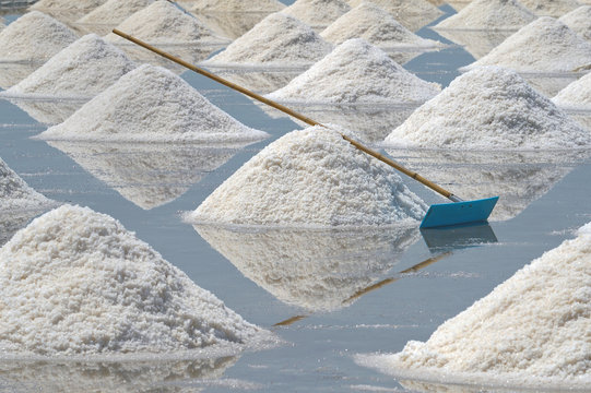 pile of white salt on the soil in the salt field
