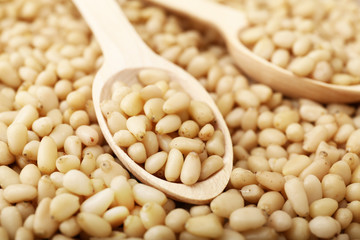 Pine nuts on a wooden spoons on background texture of shelled pine nuts.