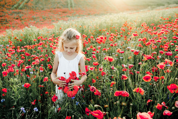 girl looks at poppy flowers