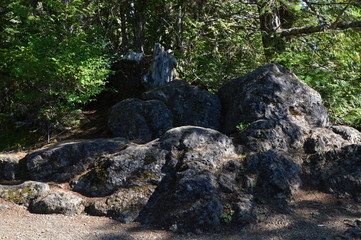 Olympic National Park, Washington