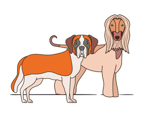 cute and adorable dogs on white background