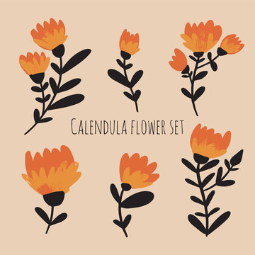 vector folk flowers set. isolated image. hahd drawn cartoon illustration.