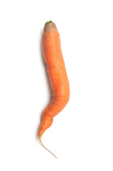 closeup of funny carrot on white background